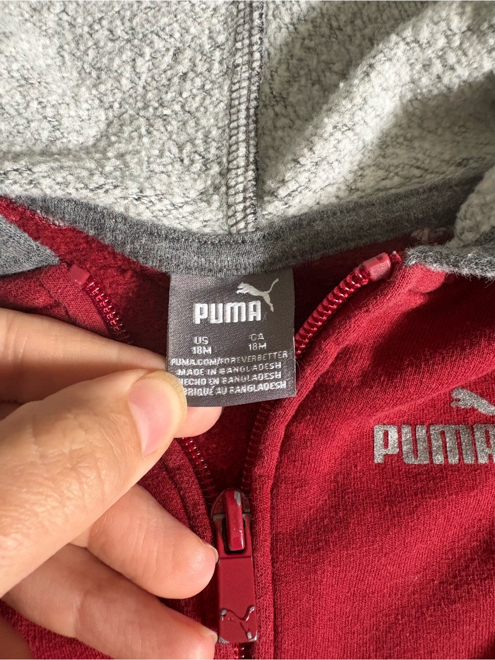 Puma Kids Gray and Red Hooded Jogger Set - Picture 4 of 10